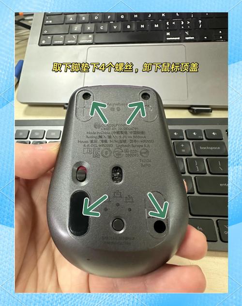 羅技鼠標(biāo)驅(qū)動下載，羅技鼠標(biāo)驅(qū)動在哪下